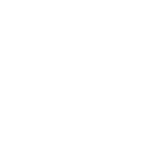 SP_LOGO-2-300x300.png