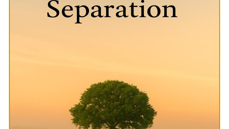 Reflections at a Time of Separation