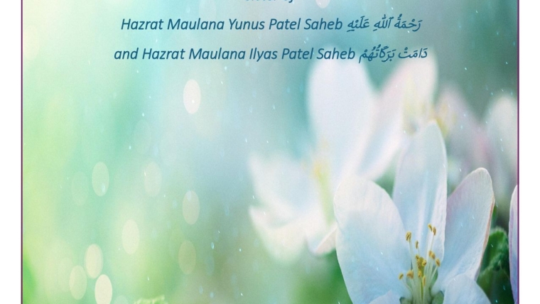 Reflecting the Beauty of Islam