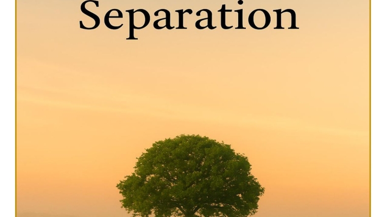 Reflection at a Time of Seperation