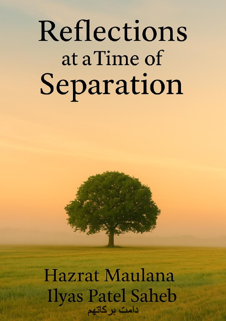Reflections at a Time of Separation