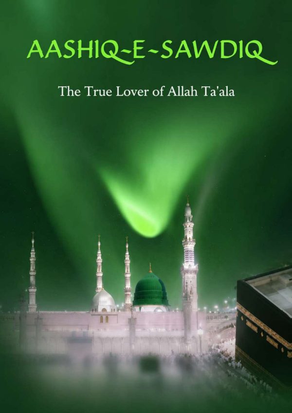 Front cover of Aashiq-e-Sawdiq Part 2