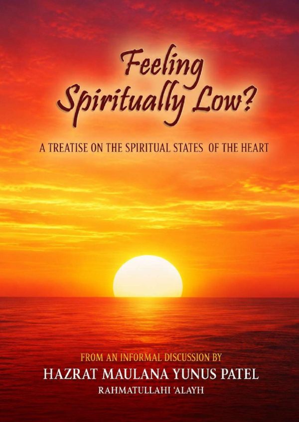 Front cover of Feeling Spiritually Low?