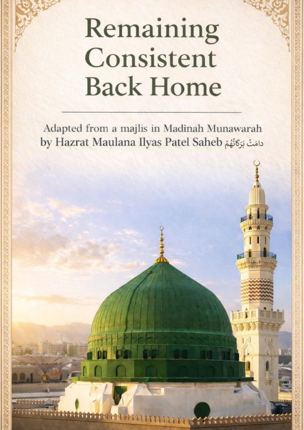 Front cover of Remaining Consistent Back Home