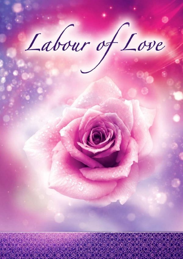 Front cover of Labour of Love