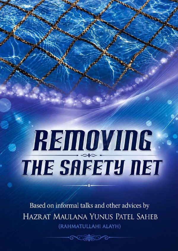 Front cover of Removing the Safety Net