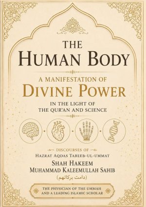 The Human Body